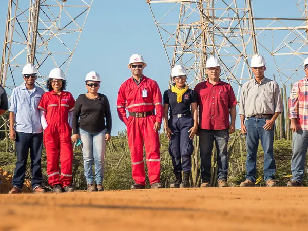 Grupo de trece personas con cascos de seguridad en una obra de línea de alta tensión, con dos torres al fondo